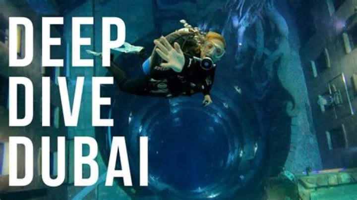 A Deep Dive Into His Current Activities