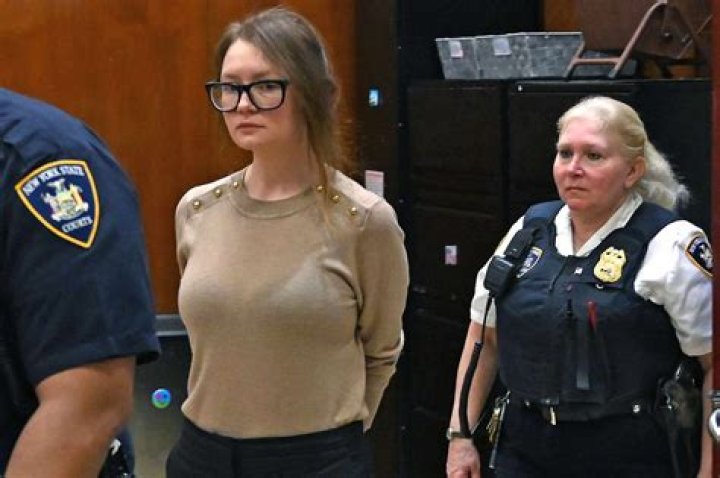 From Anna Delvey's Friend To Fraud Advocate