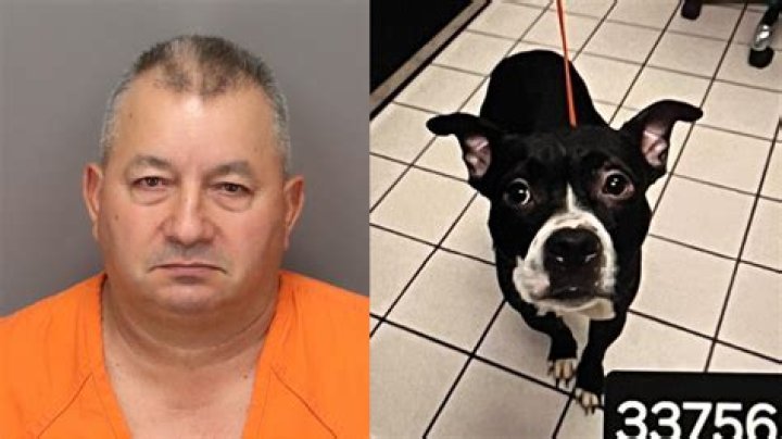 Nick Saban Arrested For Animal Cruelty, Mugshot And Charges