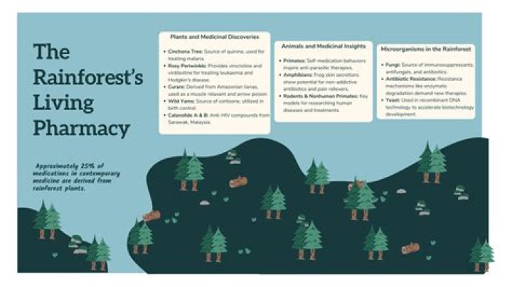 Unlocking Taylor Paige: Discoveries And Insights