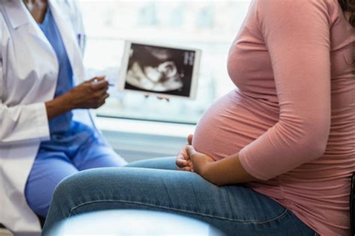 Vanessa Ray's Pregnancy And Career: Uncovering The Truth