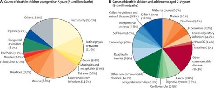Was Sarah Jakubasz Glioblastoma Linked To Death