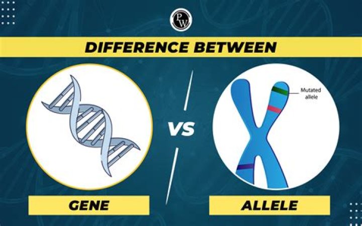 What is the difference between Dre and Bre? ·